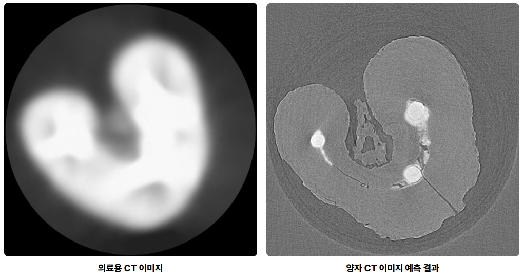 D-Wave Quantum Annealer