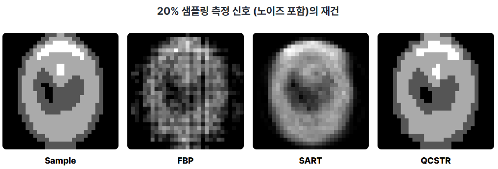 D-Wave Quantum Annealer