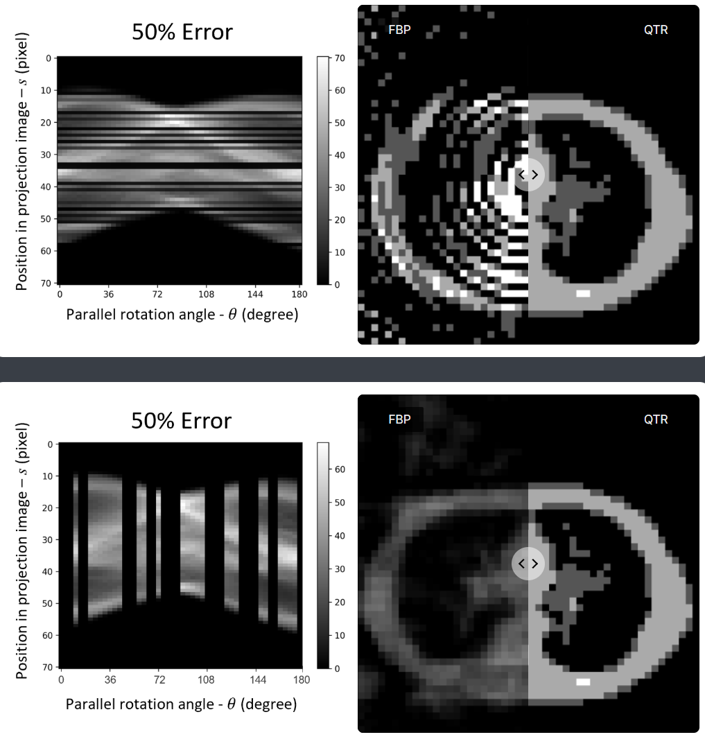 D-Wave Quantum Annealer